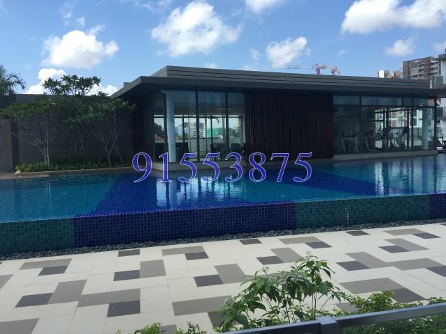 Kensington Square (D19), Apartment #142023042